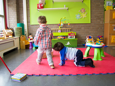 Stichting Mees