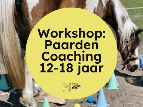 Workshop paardencoaching BredaMantelzorg