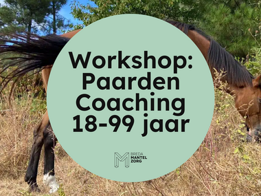 website plaatjes BMZ (12)