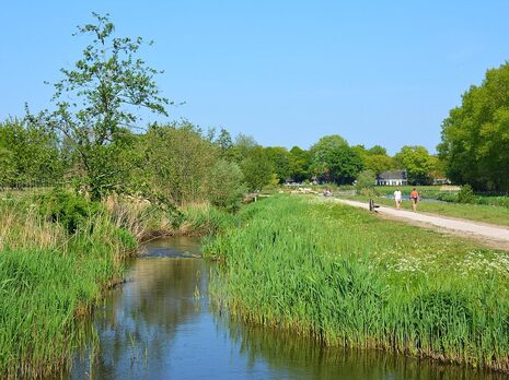 Markdal-wandeling-Breda