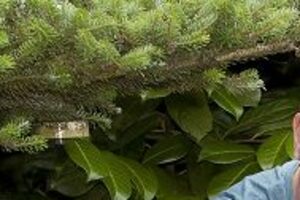 zorgboerderij chaamdijk - foto website